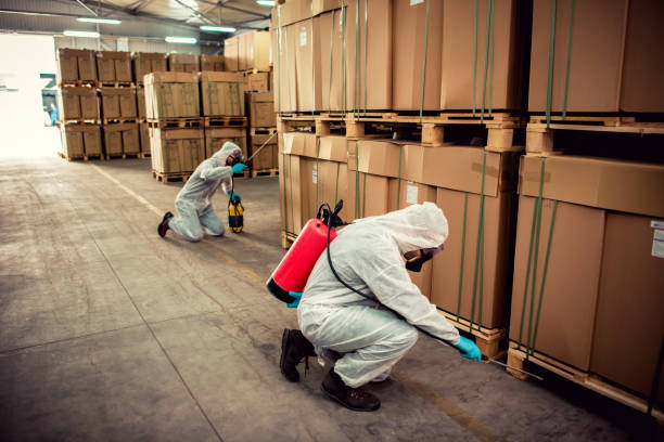 Best Pest Control Cost  in Lake Wildwood, CA