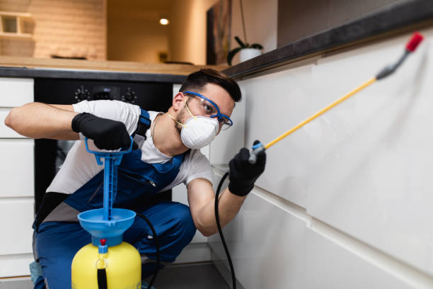 Best Pest Control Near Me  in Lake Wildwood, CA