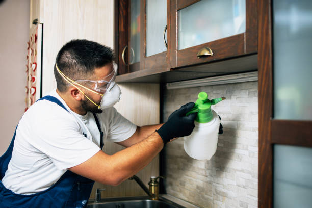 Best Affordable Pest Control Services  in Lake Wildwood, CA