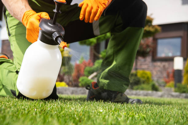 Pest Prevention Services in Lake Wildwood, CA