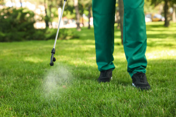 Best Commercial Pest Control Services  in Lake Wildwood, CA