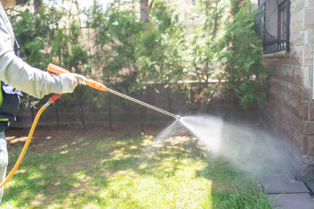 Best Termite Control Services  in Lake Wildwood, CA