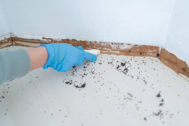 Wildlife Control Services in Lake Wildwood, CA
