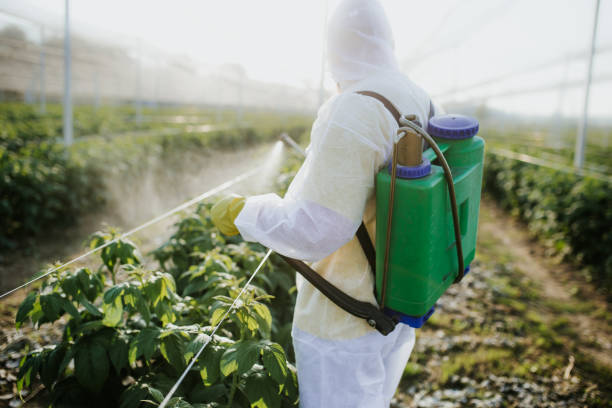Pest Control Cost in Lake Wildwood, CA